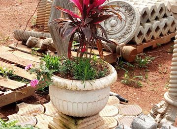 cameroon/ngaoundere/shop/ancien-magasin-pam