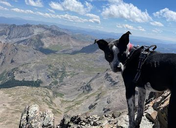 colorado/roaring-fork-valley/shop/rj-paddywacks-pet-outfitter