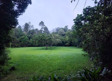 malaysia/taman-negara-national-park/shop/taman-negara-pahang-salt-lick-tahan-hide
