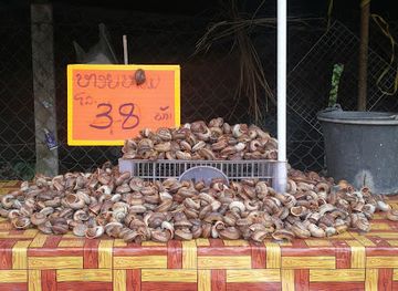 laos/champasak/shop/hai-nang-nang-phaeng-khaay-kheung-theela-theuk-pa-phet-dao