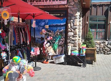 nevada/lake-tahoe-basin/shop/cabin-fever