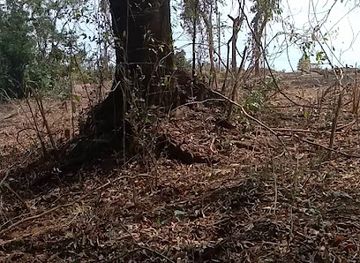 laos/champasak/shop/maetee-coffee