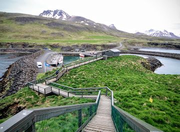 iceland/east-fjords/shop/borgarfjaroarhofn