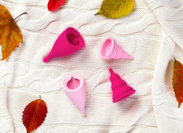 slovenia/zasavje/shop/kunapipi-si