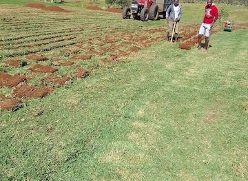 mauritius/bel-ombre/shop/agria-meat-shop