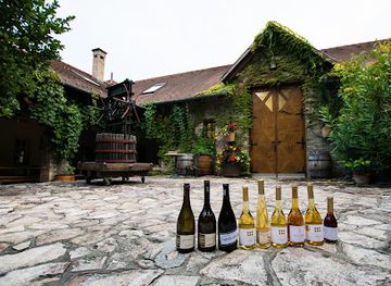 hungary/tokaj-wine-region/shop/dobogo-pinceszet