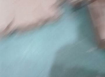 uzbekistan/syrdarya-region/shop/magazin-bakhrom-market