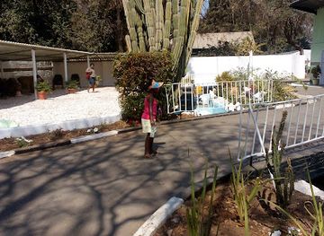 zambia/lufupa-river-camp/shop/henry-tayali-gallery