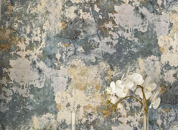 faroe-islands/vagar-island/shop/sp-f-handilsvirkio-niclasen