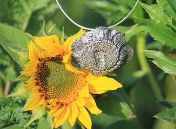 austria/neusiedler-see/shop/sabine-achs-silbergarten