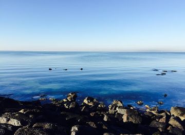 australia/ningaloo-reef/shop/snorkel-and-dive-safari-altona-beach