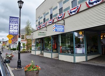 new-hampshire/grafton-county/shop/simply-sunflowers