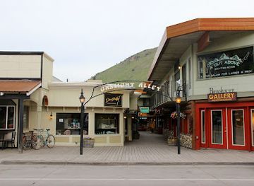 wyoming/bridger-teton-national-forest/shop/gaslight-alley