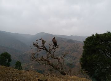 nepal/mahakali-zone/shop/pant-steel-bhandar