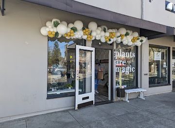 california/campbell/shop/momstera-lounge