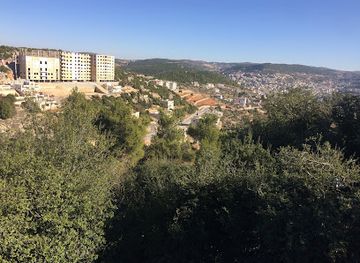 jordan/ajloun-forest-reserve/shop/ajloun-mhna-guest-house