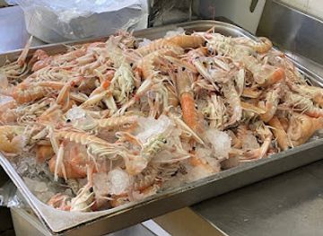 slovenia/izola/shop/bluefin-d-o-o