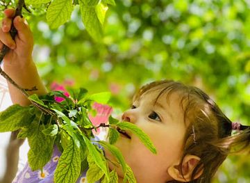 afghanistan/mazar-i-sharif/shop/mazari-sharif