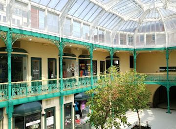 connecticut/bridgeport/shop/dertbag-us