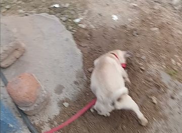 mexico/costa-chica/shop/cruz-grande