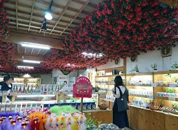south-korea/gangwon-province/shop/nami-island