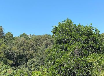 laos/sainyabuli-province/shop/garden-smt01