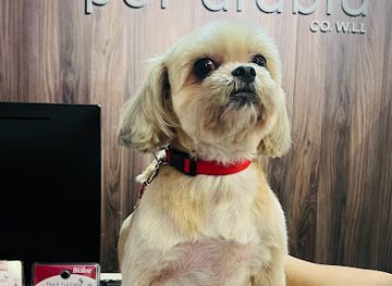 bahrain/saar/shop/pet-arabia-co