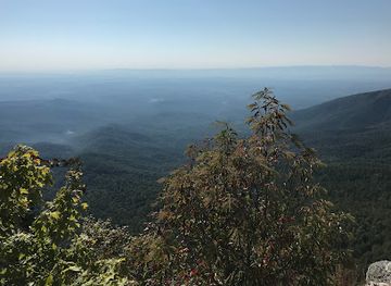 north-carolina/pisgah-national-forest/shop/pisgah-national-forest