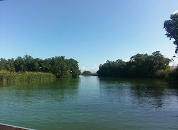 jamaica/black-river-great-morass/shop/black-river