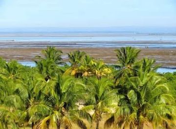 mozambique/tofo-beach/shop/tofo-beach-village-tours