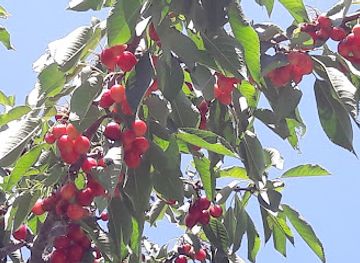 pakistan/skardu/shop/utility-store-radio-pakistan