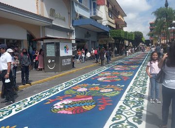 mexico/trans-mexican-volcanic-belt/shop/optima