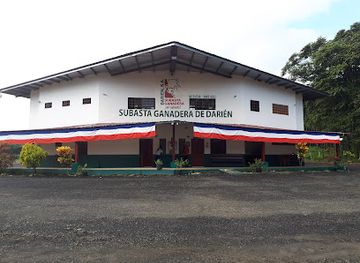 panama/darien/shop/subasta-ganadera-de-darien