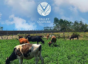 india/uttarakhand/shop/valley-culture-india-best-himalayan-food-shop