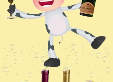cyprus/morphou-bay/shop/crazy-cow-gifts-cyprus