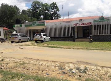 tanzania/selous-game-reserve/shop/tanesco-mahenge