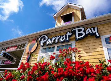 north-carolina/outer-banks/shop/parrot-bay