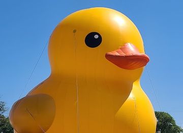 maryland/janes-island-state-park/shop/somers-cove-marina