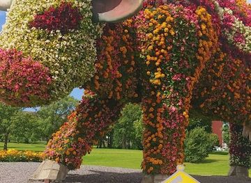 latvia/ventspils/shop/citro-mini