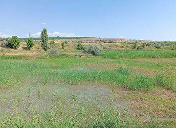 uzbekistan/chimgan-mountains/shop/chimgan