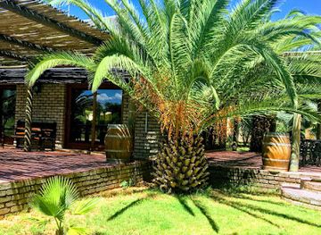 botswana/ghanzi-district/shop/palm-afrique-lodge-3-star