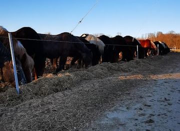 croatia/moslavina/shop/osekovo