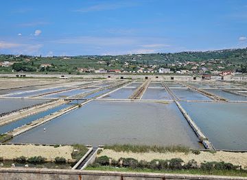 slovenia/coastal-karst/shop/secovlje-sicciole-saltpans-nature-park