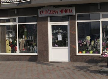 bosnia-and-herzegovina/posavina/shop/cvjecarna-mimoza
