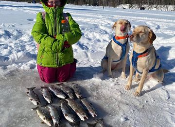 minnesota/arrowhead-region/shop/arrowhead-outdoors