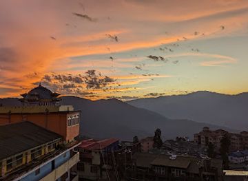 india/darjeeling/batasia-loop/shop/golden-tips-tea-nehru-road