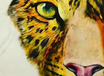 zimbabwe/mutare/shop/passions