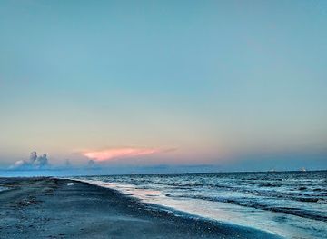 louisiana/grand-isle/shop/elmer-s-island-wildlife-refuge