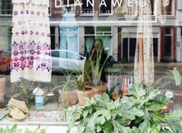 netherlands/amsterdam/oud-zuid/shop/indianaweg