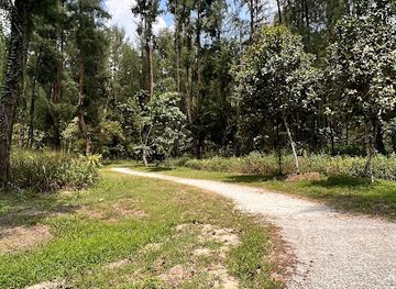 singapore/coney-island/shop/punggol-coney